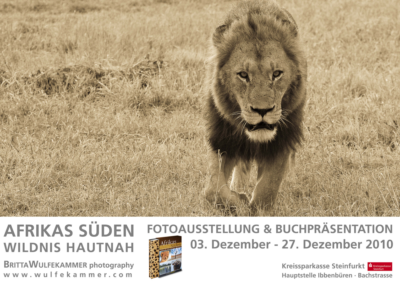 Ausstellung Afrika's Süden - Wildlife hautnah