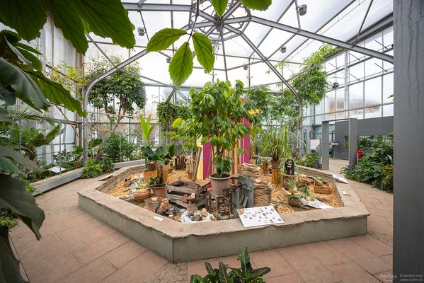 Ausstellung: "Aus den Tropen auf den Tisch"