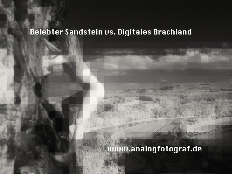 Ausstellung "Brachland" ab 17.06. im Uniwerk Pirna