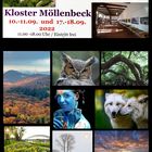 Ausstellung Fotogruppe Schaumburg in der Galerie im Kloster Möllenbeck 2022