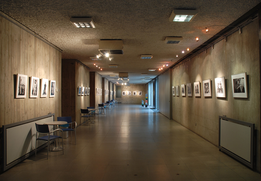 Ausstellung Galerie Gemeinschaftshaus Nürnberg- Langwasser 2010