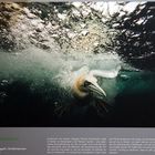 Ausstellung "GDT Europäischer Naturfotograf des Jahres" Doku