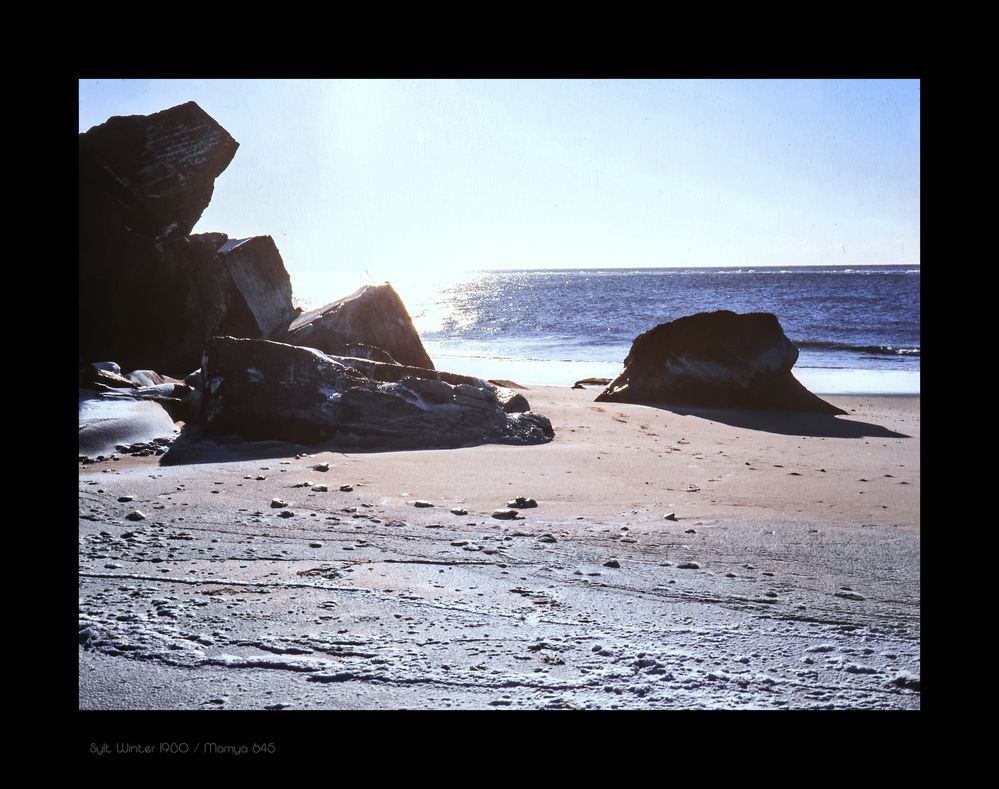 Ausstellung "Sylt im Winter" 1980