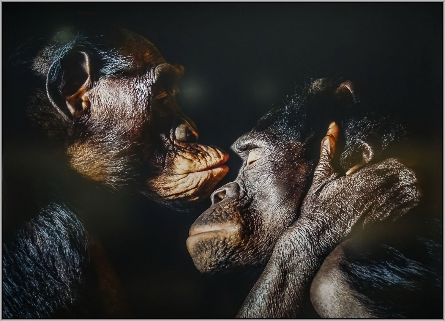 Ausstellung Wunder Der Natur Foto Bild Spezial Natur Kunst Bilder Auf Fotocommunity