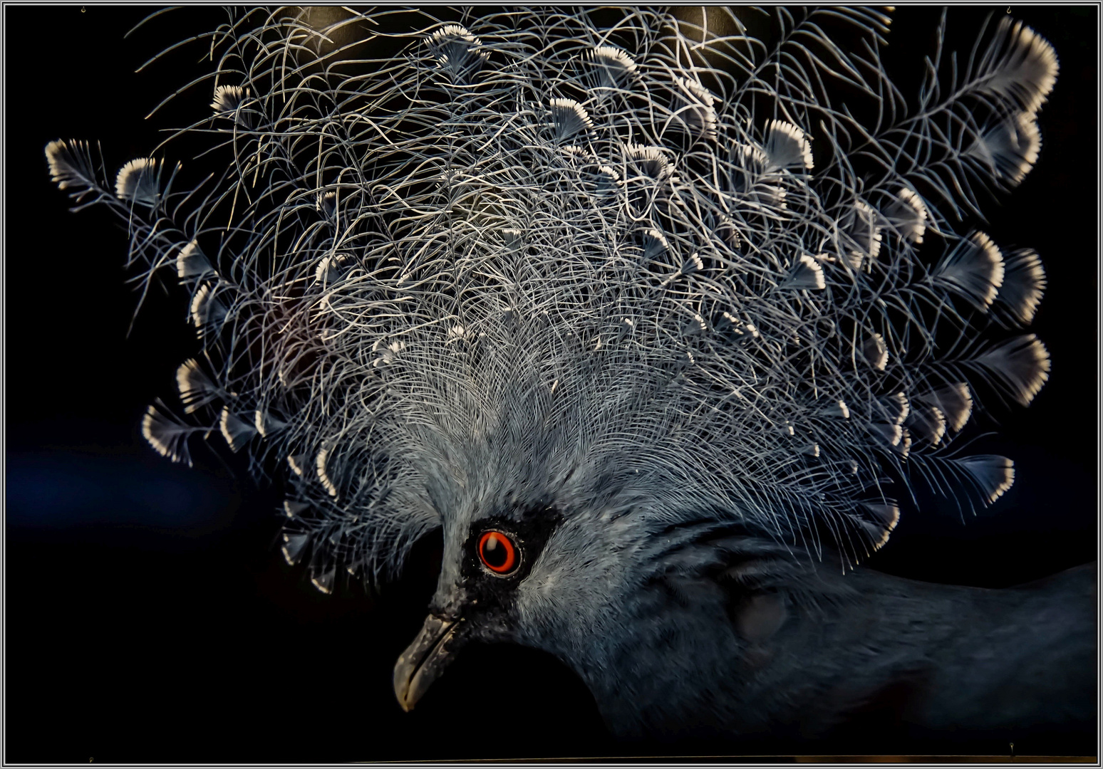 Ausstellung " Wunder der Natur " . . .