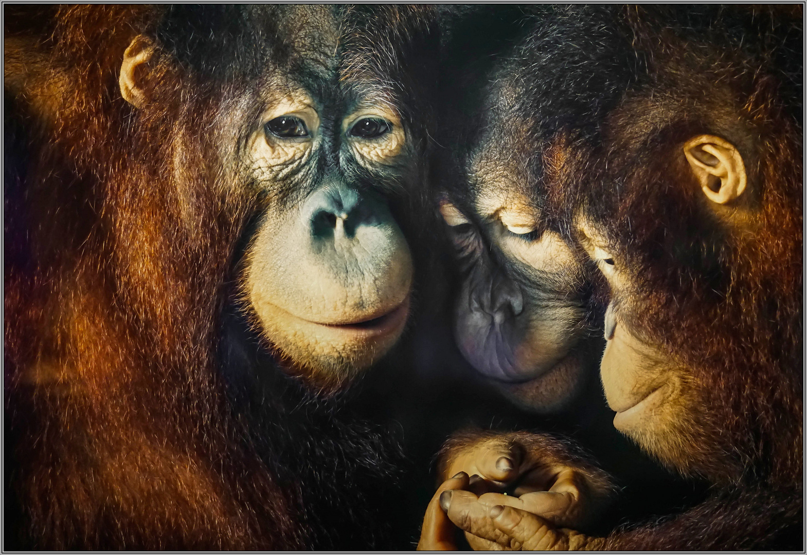 Ausstellung Wunder Der Natur Foto Bild Spezial Natur Kunst Bilder Auf Fotocommunity