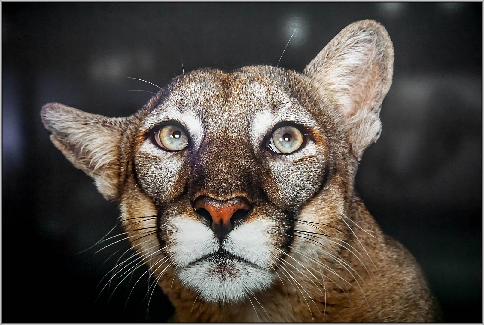 Ausstellung " Wunder der Natur " . . .