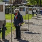 Ausstellungen überall