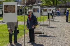 Ausstellungen überall