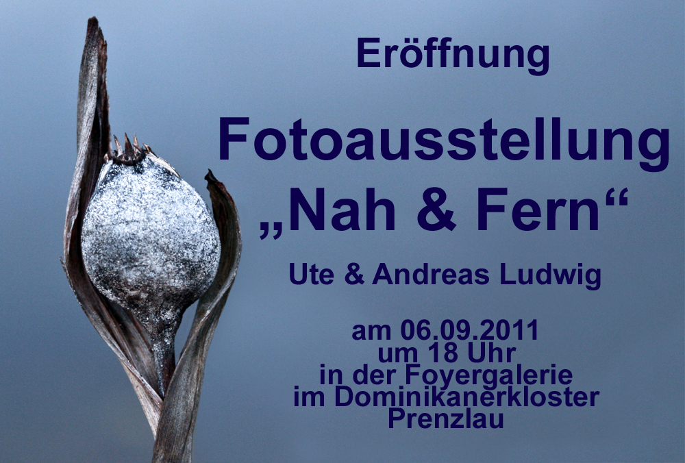 Ausstellungseröffnung "Nah & Fern" von Ute & Andreas Ludwig