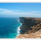 Austalian Bight