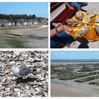 Austern aus Cancale