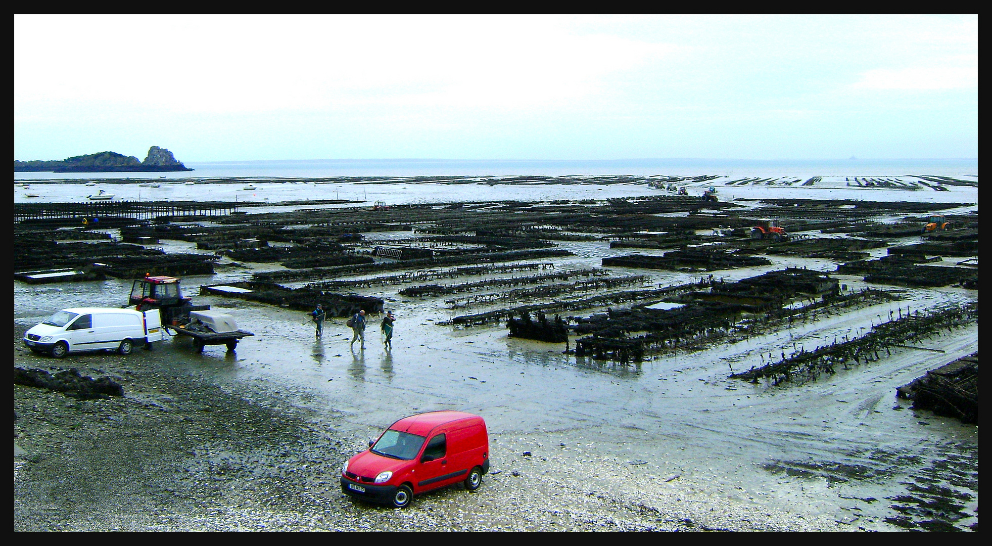 Austernbänke in Cancale