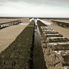 Austernbänke Normandie