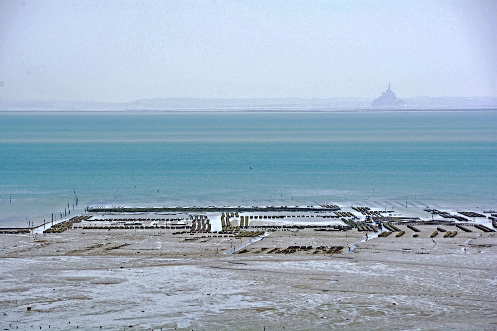 Austernbänke vor Mont St. Michel