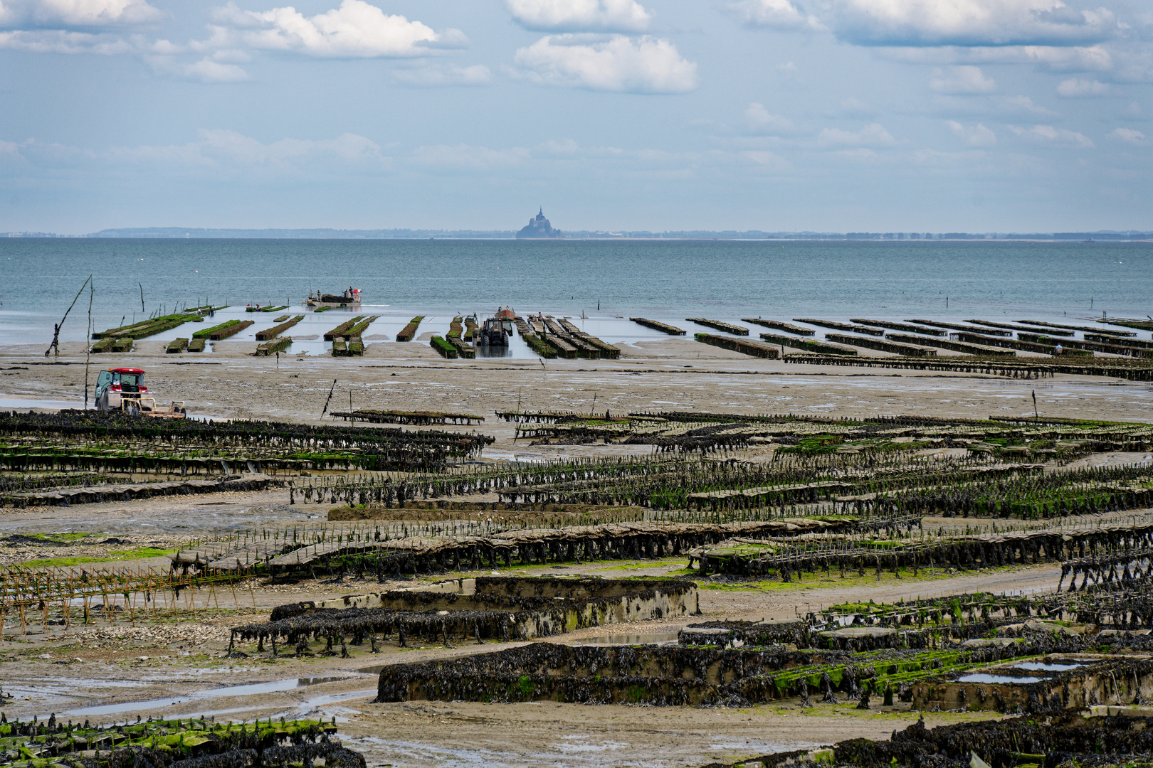 Austernfarm bei Cancale - im Hintergrund Mont Saint Michel