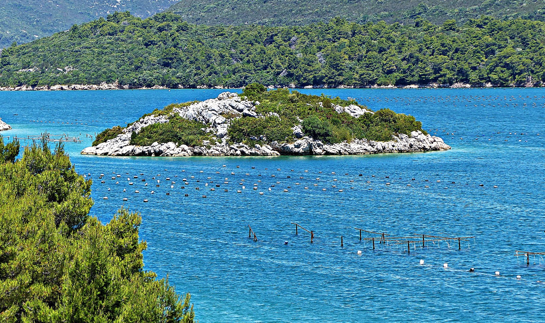 Austernzucht auf der Halbinsel Peljesac