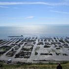 Austernzucht, Cancale (Bretagne)