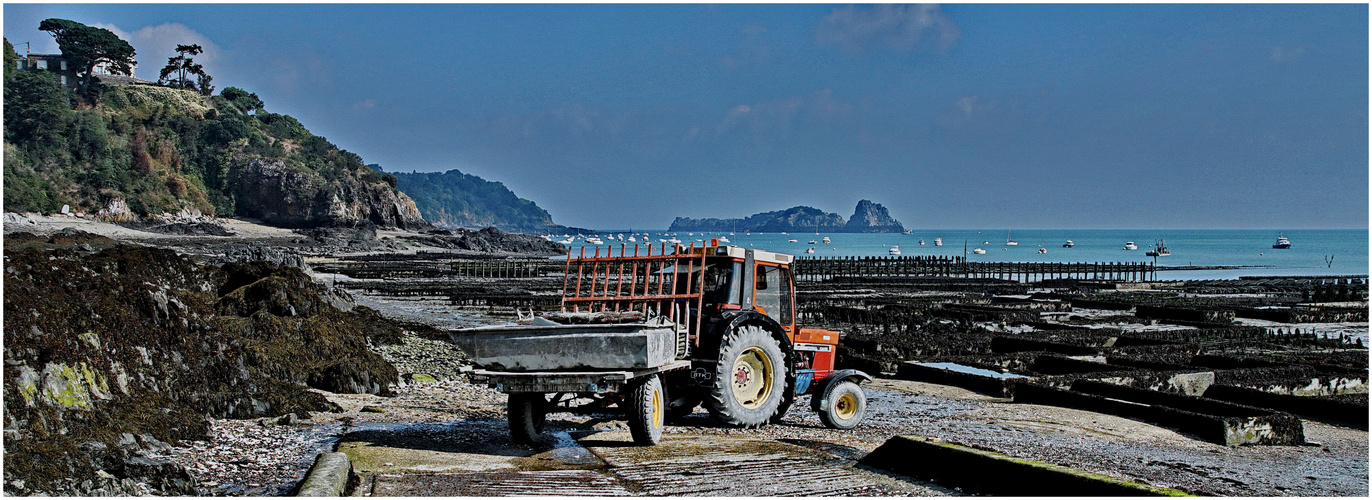 Austernzucht in Cancale