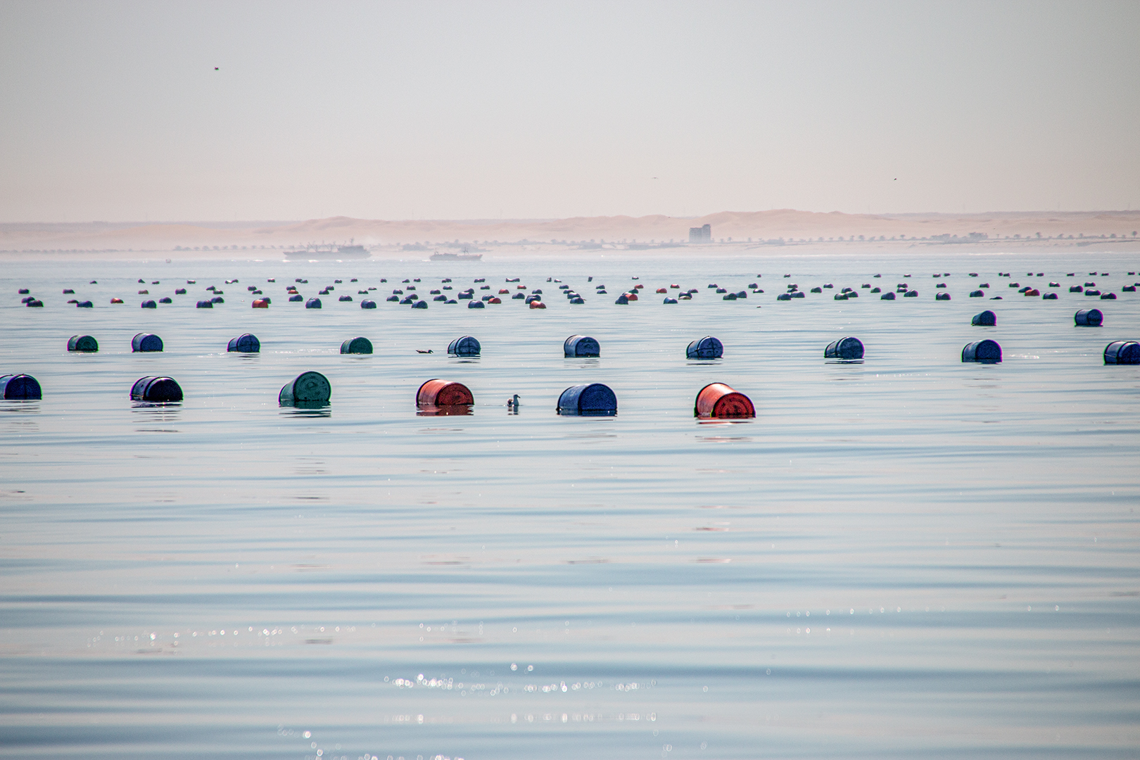 Austernzucht vor der Küste von Walvis Bay...