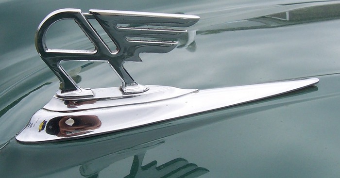 austin bonnet mascot