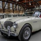 AUSTIN HEALEY 100 / 4 BN 1  (1)