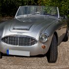 Austin Healey 100 -6  GB 1956-59 bei Classic Cars Schwetzingen 2018