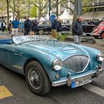 Austin-Healey 100  - Cabrio