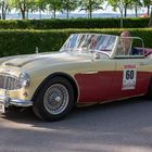 Austin Healey