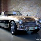 Austin Healey