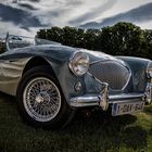 Austin-Healey