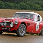 Austin Healey 3000 (1961)