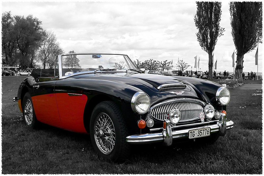 Austin Healey 3000