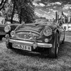 Austin-Healey, 3000 / BJ8