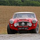 Austin Healey 3000