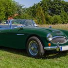 Austin Healey 3000 Mark III