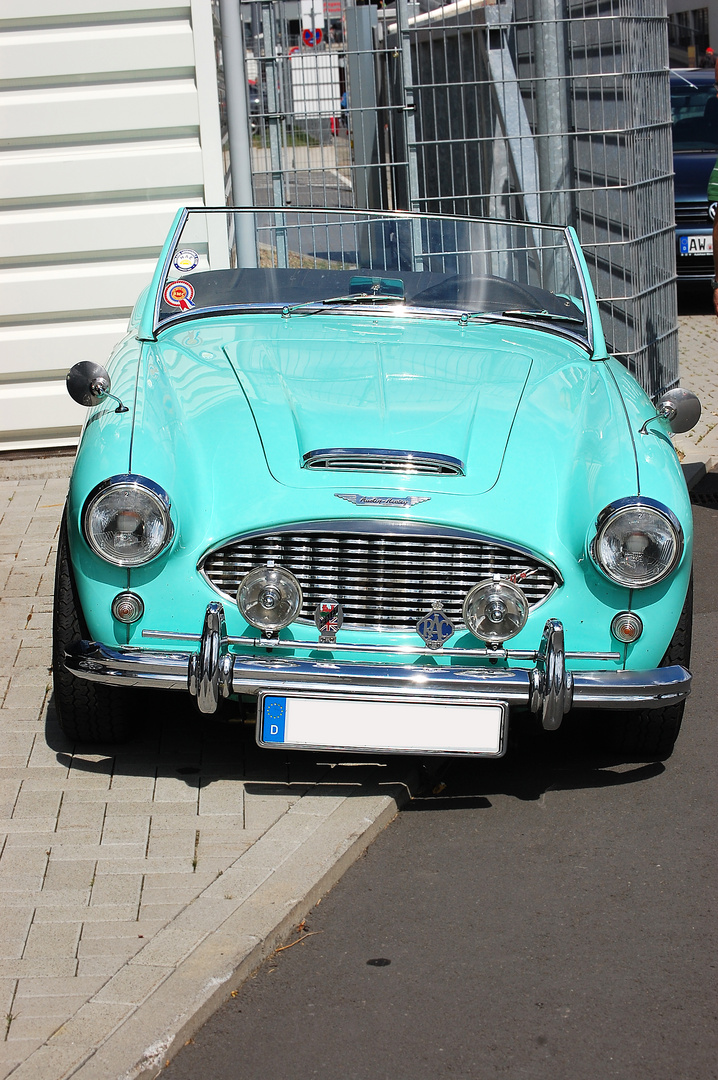 Austin Healey