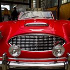 Austin-Healey