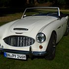 Austin Healey