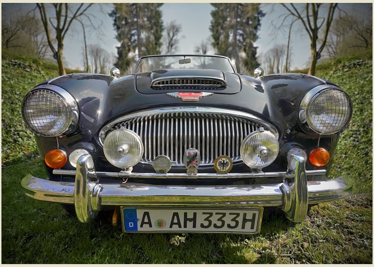 Austin Healey