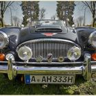 Austin Healey