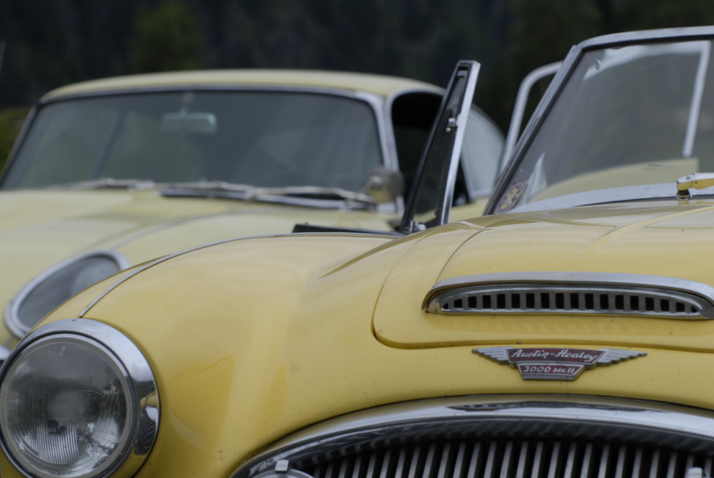 Austin Healey