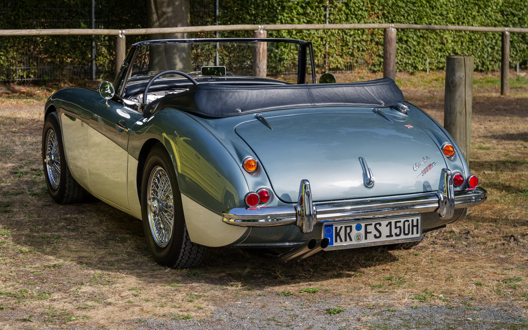 Austin Healey