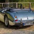 Austin Healey