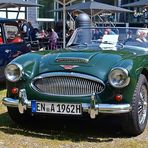 Austin Healey