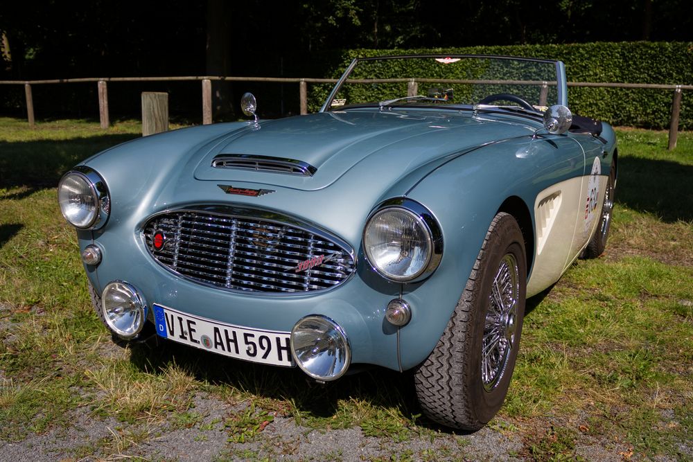 Austin-Healey