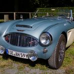 Austin-Healey