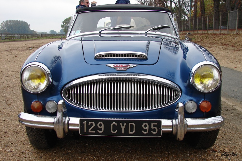 Austin healey