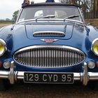 Austin healey