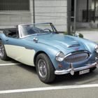 Austin-Healey